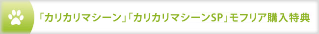 sp_tokuten