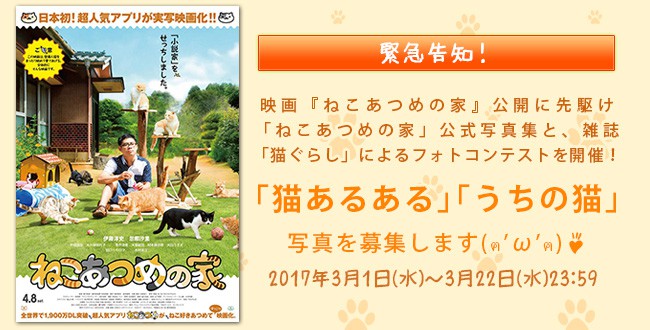nekoatume
