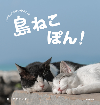 ☆島ねこぽん_表紙カバー_0701更新