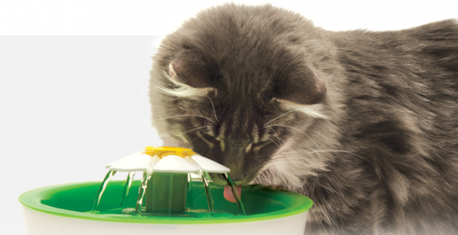 catit-fountain-cat-stimulates-drinking