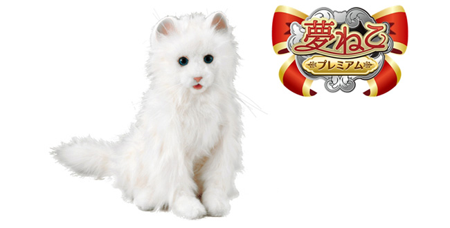 夢ネコ yumeneko.jpg