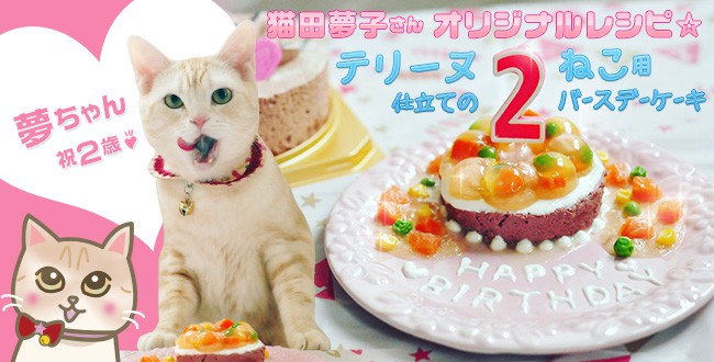 ねこレシピ 猫田夢子さんオリジナル 猫ちゃん専用バースデーケーキレシピ 17年も夢ちゃんのお誕生日はハッピーで華やか 猫情報 Mofoo モフー 猫生活マガジン