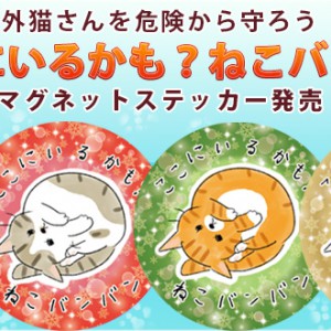 Mofoo モフー お洒落 猫生活マガジン