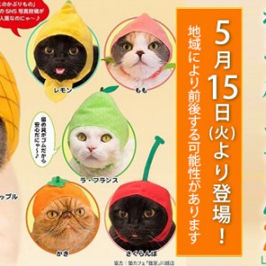 おまとめ済　ぐで猫　パープル系ぐでねこ　　　　　　　　　　　フェイクフルーツ カプセルトイ】「猫」向けコスプレガチャ「かわいい かわいい