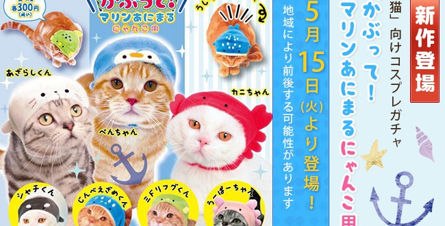 【カプセルトイ】「猫」向けコスプレガチャ「かぶって！マリンあにまる にゃんこ用」発売！