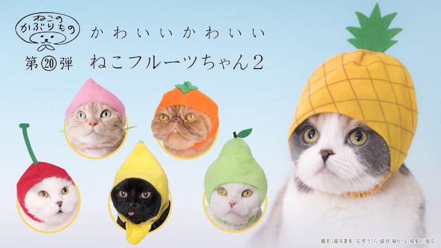 カプセルトイ 猫 向けコスプレガチャ かわいい かわいい ねこフルーツちゃん2 発売