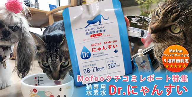 Drにゃんすい ねこ専用高濃度水素水を10本モフーでお試ししてみました