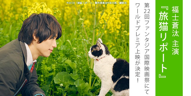 tabineko-movie
