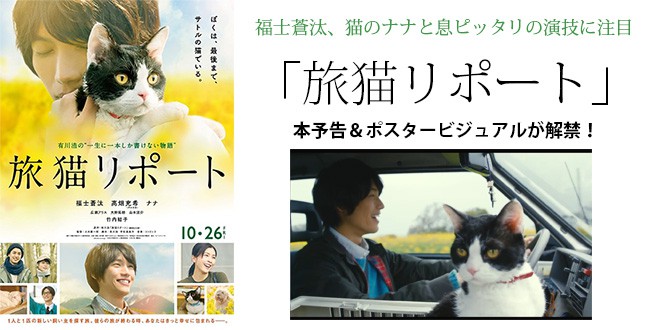 tabineko_tit