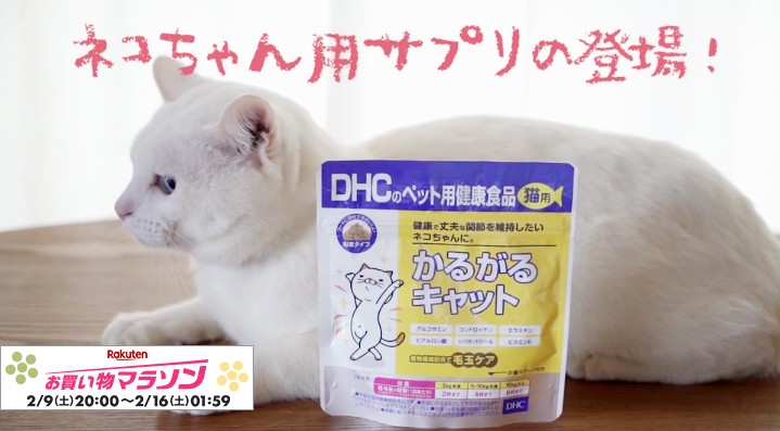 猫用健康補助食品 DHC 50g かるがるキャット 国産 無添加 食物繊維毛玉ケア 【SALE／72%OFF】 かるがるキャット