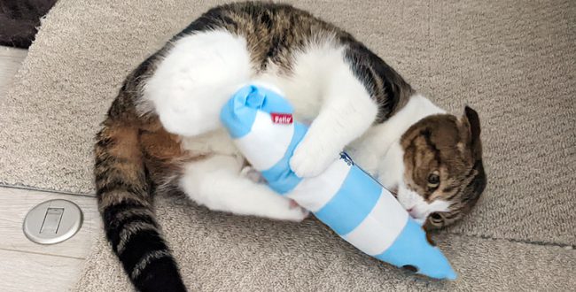 おもろマンモスらぶらどーる・猫餌 ペティオ またたびプラス またたびジャーキー ささみ味