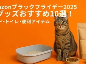 【Amazonブラックフライデー2025】猫グッズおすすめ10選！今だけお得なフード・トイレ・便利アイテム