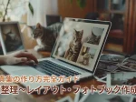 猫写真集の作り方完全ガイド｜写真整理〜レイアウト・フォトブック作成まで