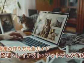 猫写真集の作り方完全ガイド｜写真整理〜レイアウト・フォトブック作成まで