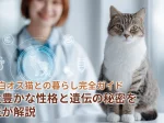 キジ白オス猫との暮らし完全ガイド｜個性豊かな性格と遺伝の秘密を獣医が解説