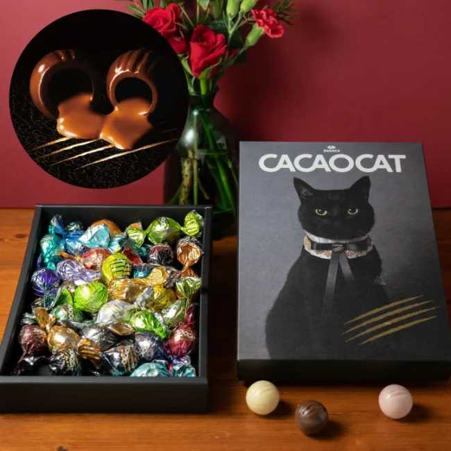 DADACA「CACAOCAT 24個入(黒猫)」