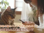 年末年始の猫のペットホテル完全ガイド：混雑の理由と予約成功のコツ