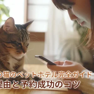 年末年始の猫のペットホテル完全ガイド：混雑の理由と予約成功のコツ