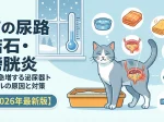 猫の尿路結石・膀胱炎|冬に急増する泌尿器トラブルの原因と対策【2026年最新版】