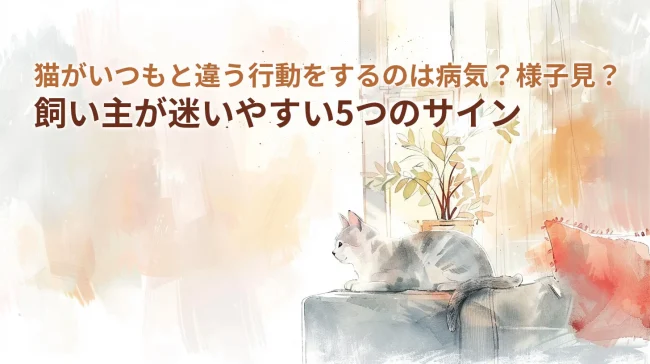 猫がいつもと違う行動をするのは病気？様子見？飼い主が迷いやすい5つのサイン