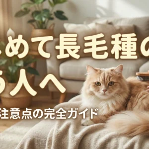 はじめて長毛種の猫を飼う人へ：心構えと注意点の完全ガイド