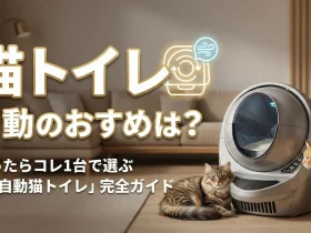 猫トイレ 自動のおすすめは？迷ったらコレ1台で選ぶ「全自動猫トイレ」完全ガイド
