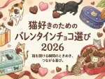 猫好きのためのバレンタインチョコ選び 2026