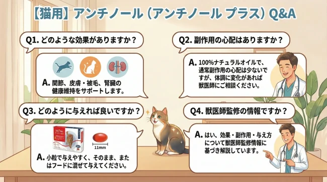 よくある質問（FAQ）：検索で多い疑問に答える