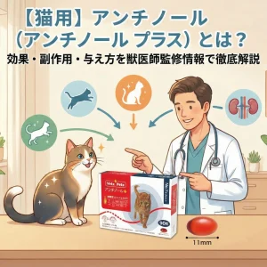 【猫用】アンチノール（アンチノール プラス）とは？効果・副作用・与え方を獣医師監修情報で徹底解説