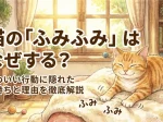 猫の「ふみふみ」はなぜする？かわいい行動に隠れた気持ちと理由を徹底解説