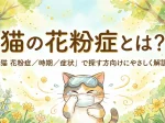 猫の花粉症とは？「猫 花粉症／時期／症状」で探す方向けにやさしく解説