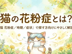 猫の花粉症とは？「猫 花粉症／時期／症状」で探す方向けにやさしく解説