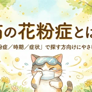 猫の花粉症とは？「猫 花粉症／時期／症状」で探す方向けにやさしく解説
