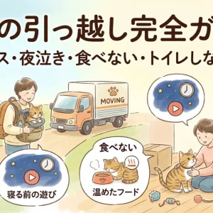 猫の引っ越し完全ガイド｜ストレス・夜泣き・食べない・トイレしない対策